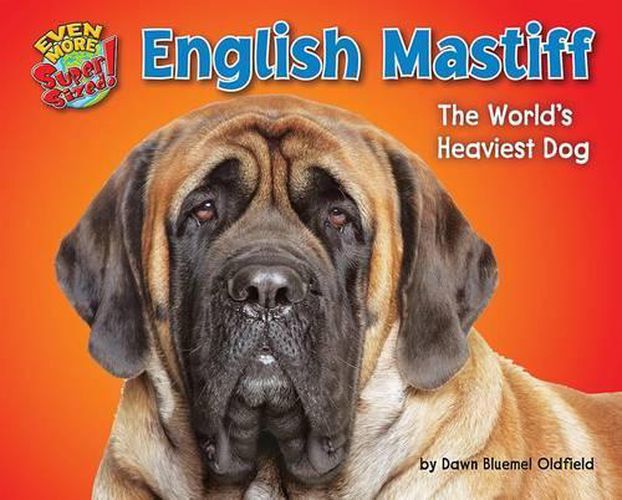 Cover image for English Mastiff: The World's Heaviest Dog