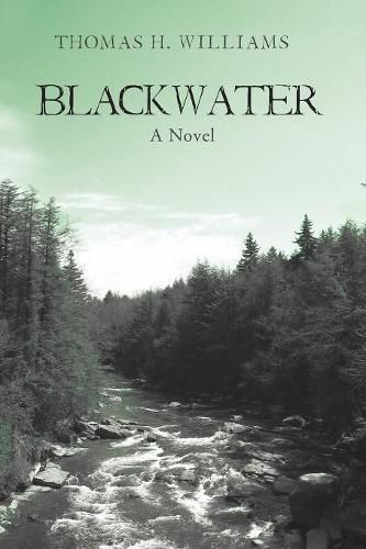 Cover image for Blackwater