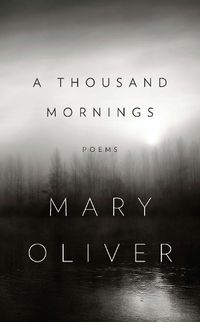 Cover image for A Thousand Mornings