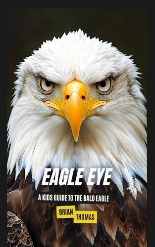 Cover image for Eagle Eye