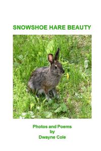 Cover image for Snowshoe Hare Beauty