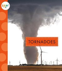 Cover image for Tornadoes