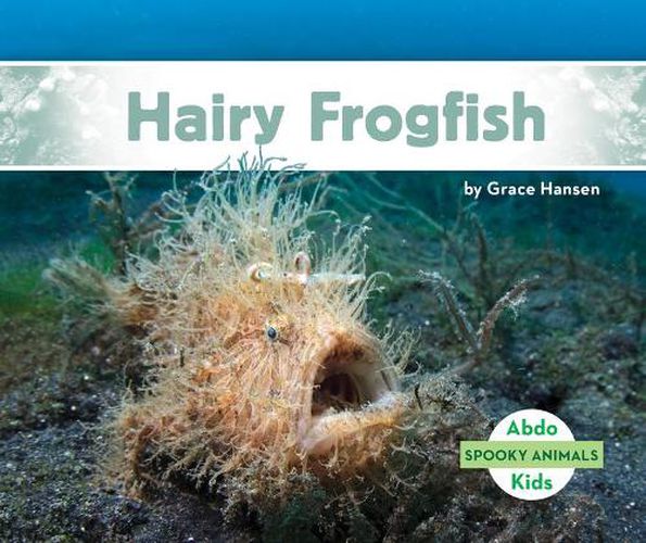 Cover image for Hairy Frogfish