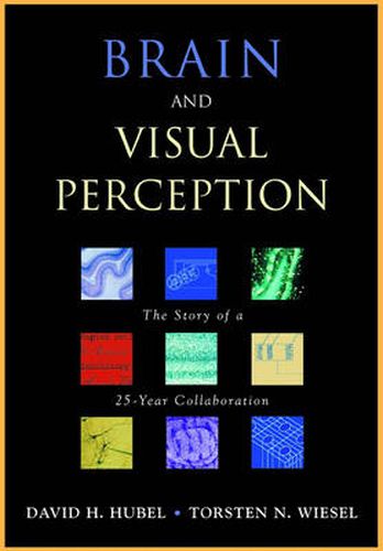 Cover image for Brain and Visual Perception: The Story of a 25-year Collaboration