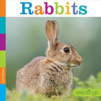 Cover image for Rabbits