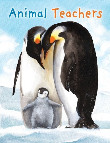 Cover image for Animal Teachers
