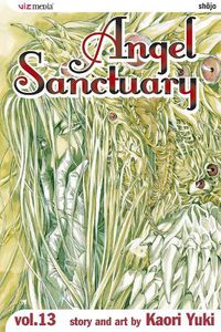 Cover image for Angel Sanctuary, Vol. 13