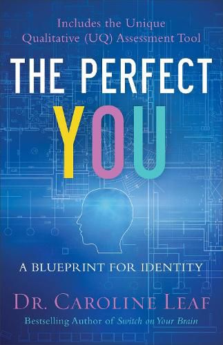 The Perfect You - A Blueprint for Identity