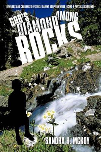 Cover image for God's Diamond Among Rocks