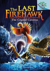 Cover image for The Crystal Caverns: A Branches Book (the Last Firehawk #2) (Library Edition): Volume 2