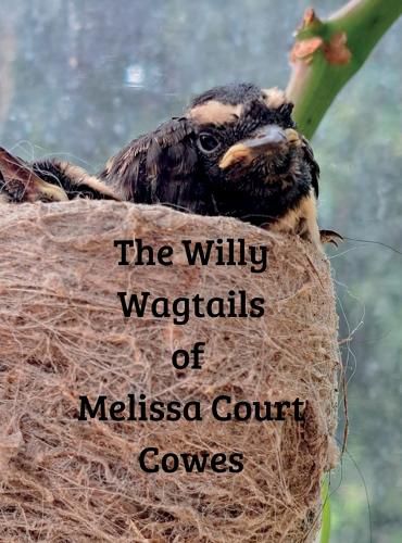Cover image for The Willy Wagtails of Melissa Court Cowes