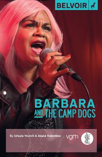 Cover image for Barbara and the Camp Dogs