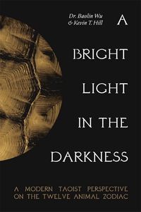 Cover image for A Bright Light in the Darkness