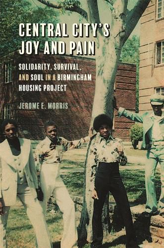 Cover image for Central City's Joy and Pain