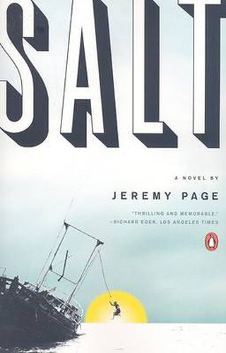 Cover image for Salt