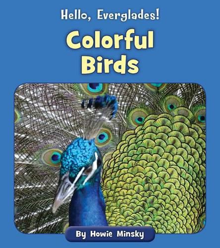 Cover image for Colorful Birds