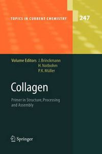 Cover image for Collagen: Primer in Structure, Processing and Assembly