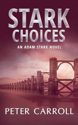 Cover image for Stark Choices: An Adam Stark Novel