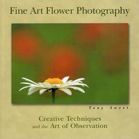 Cover image for Fine Art Flower Photography: Creative Techniques and the Art of Observation