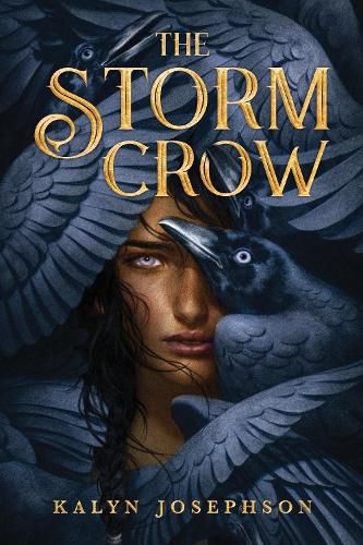 Cover image for The Storm Crow