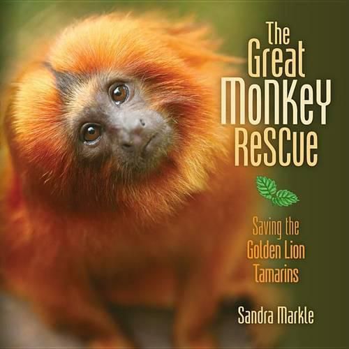 Cover image for The Great Monkey Rescue: Saving The Golden Lion Tamarin