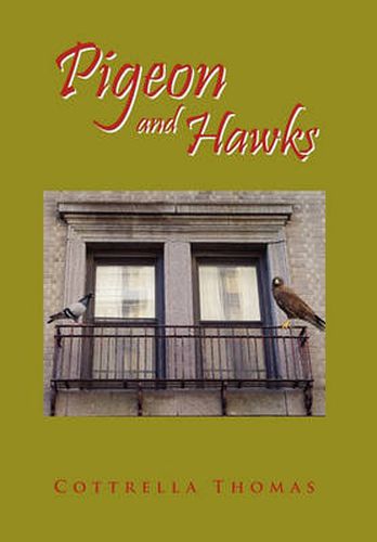 Cover image for Pigeon and Hawks