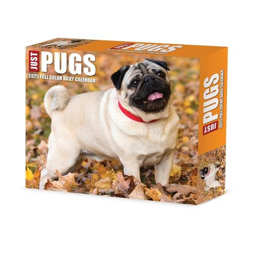Cover image for Just Pugs 2026 5.4 X 6.2 Box Calendar