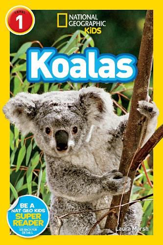 Cover image for Nat Geo Readers Koalas Lvl 1