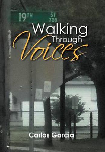 Cover image for Walking Through Voices