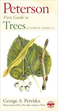 Cover image for First Guide to Trees