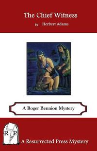 Cover image for The Chief Witness: A Roger Bennion Mystery