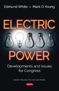 Cover image for Electric Power: Developments and Issues for Congress