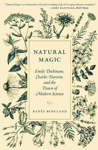 Cover image for Natural Magic