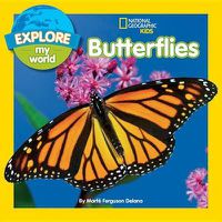Cover image for Explore My World Butterflies