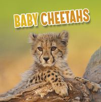 Cover image for Baby Cheetahs