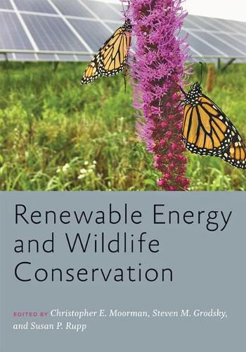 Cover image for Renewable Energy and Wildlife Conservation