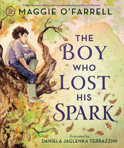Cover image for The Boy Who Lost His Spark