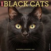 Cover image for Just Black Cats 2025 12 X 12 Wall Calendar