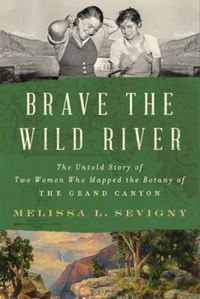 Cover image for Brave the Wild River