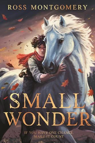 Cover image for Small Wonder