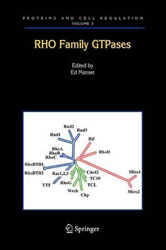 Cover image for Rho Family GTPases