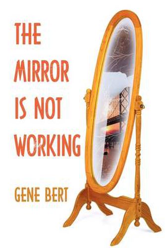 Cover image for The Mirror is Not Working