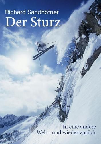 Cover image for Der Sturz: ... in eine andere Welt - und wieder zuruck