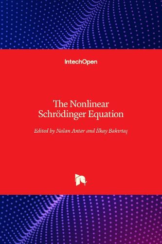 Cover image for The Nonlinear Schroedinger Equation