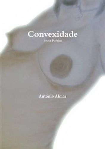 Cover image for Convexidade