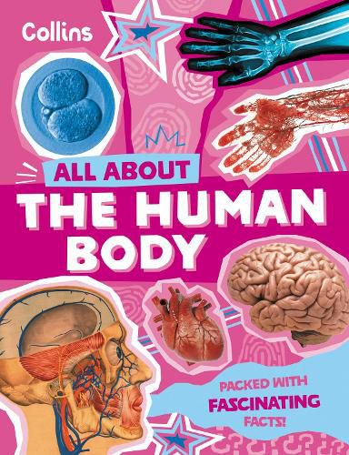 Cover image for The Human Body