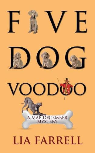 Cover image for Five Dog Voodoo