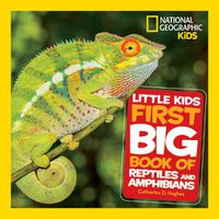 Cover image for Little Kids First Big Book of Reptiles and Amphibians