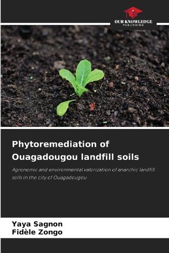 Cover image for Phytoremediation of Ouagadougou landfill soils