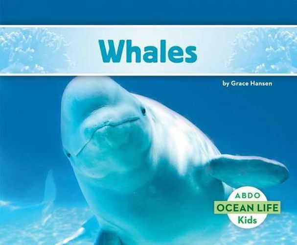 Cover image for Whales